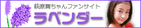 �������t�@���T�C�g ���x���_�[
